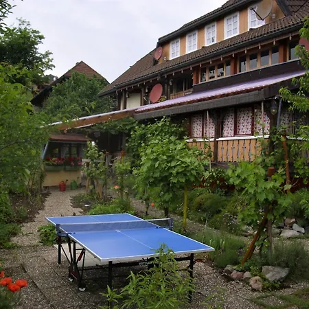 Wannenhof Historisch By Interhome Innerlehen